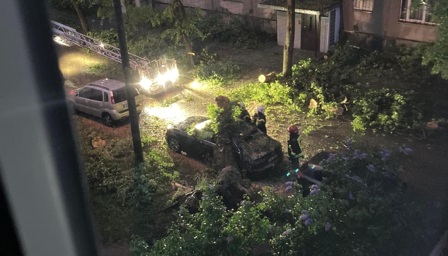 В Кенгарагсе дерево ночью упало на машину | Latvijas ziņas - Новости Латвии